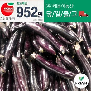 <해돋이농산> 국내산 햇 가지 못난이가지 상품 10kg