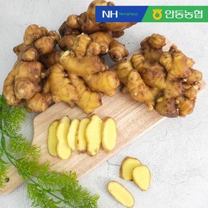 [안동농협] 씻어나온 세척 생강, 세척생강 10kg, 1개