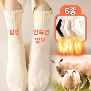 바닐라모먼트 양모수면양말 겨울양말 수족냉증양말 임산부양말 방한양말 6종 세트