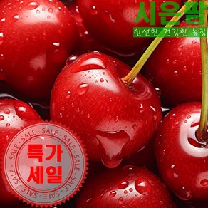 [수입과일] 프리미엄 고당도 칠레산 생체리, 1박스, 특대과_300g