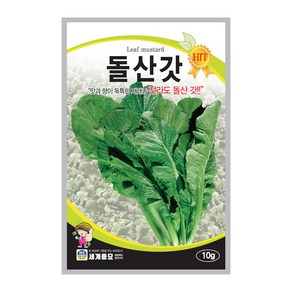 돌산갓 씨앗 Leaf Mustad seed 갓 김장 잎 채소 종자, 1개