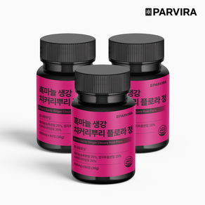 파비라 흑마늘 생강 치커리뿌리 플로라 식약처 HACCP 인증, 3개, 60정