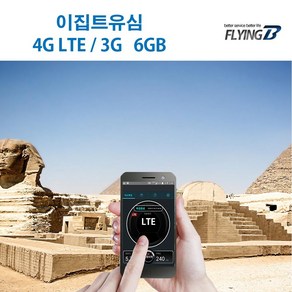 플라잉비 이집트유심 15일 LTE 6GB + 저속무제한, 이집트, 1개