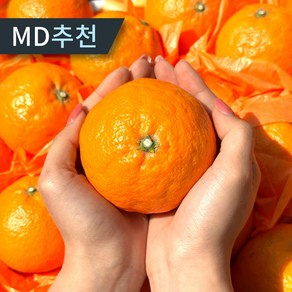[특가판매] 제주 프리미엄 꿀당도 카라향 농장직송, 1박스, 5kg 대과