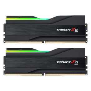 G.SKILL DDR5-6400 CL32 TRIDENT Z5 RGB J 패키지 (96GB(48Gx2))