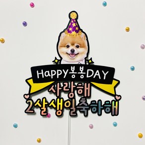 아이리스토퍼 반려동물 생일토퍼 금쪽같은 내새끼 생일축하해, 디자인B