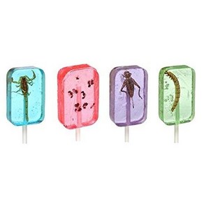 Insect Sucke Lollipop Bundle - Pack of 4 - Scopi 곤충 빨판 막대 사탕 묶음 - 4팩 - 전갈 개미 귀뚜라미 벌레 - 맛은 다양 -, 1개, 45.36g