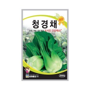 청경채 씨앗 채소 종자 2000립 쌈채소 백경채 중국배추 씨앗 Bok Choy seeds, 1개