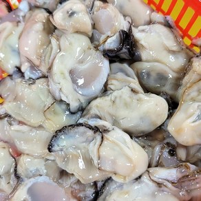 당일수확 통영 산지직송 최상급 생굴 2kg, 1개
