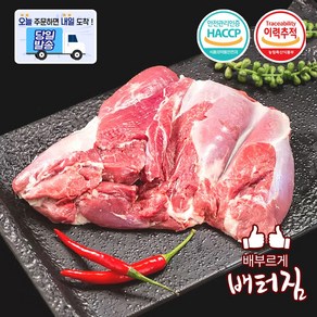 (배터짐) 캠핑가자! 숙성 양고기 모음1kg 양사각갈비 2소스, 1개, 청정지역냉장양어깨살