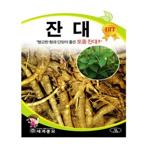 잔대 1g/토종잔대 씨앗 종자 뿌리채소 사삼 딱주, 1개