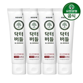 유한양행 닥터버들 시린이케어 치약 100g x 4개