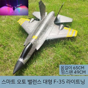 전투기 프라모델 RC 드론 F22, 배터리 1개(비행 15~20분), C, 1개