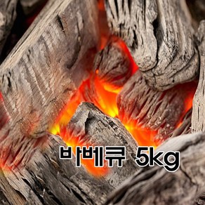 국내산 진천참숯 바베큐참숯 캠핑숯 구이용참숯, 바베큐참숯 5kg, 1개, 5kg