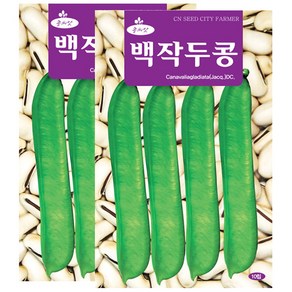 세인화분 백작두콩 10립 - 국산 콩씨 콩씨앗 작두콩, 2개