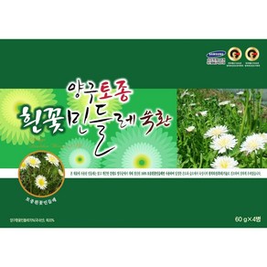 [본사공식] 양구토종흰꽃민들레쑥환 (흰민들레환), 1개, 60g