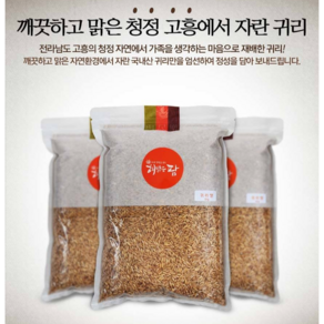 수향미 신동진 당일도정 골드퀸 백미 쌀 햅쌀, 전남 고흥 귀리쌀, 500g, 2개, 상등급