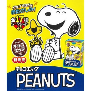 리멘트 식완 스누피 PEANUTS 랜덤 피규어 초코에그 10개 세트, 1개