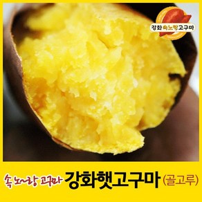 2024년 강화속노랑고구마 강화도호박고구마 햇고구마 [소/중/대/특상/혼합 크기] 5kg/10kg 선택., 1박스, 선택7. 혼합(골고루) 5kg