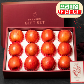 [프리미엄] 고급 사과 선물세트 산지직송, 1개, 사과 선물세트 3kg (중대과)