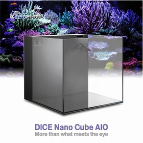 Dice Nano Cube AIO_수조-맥스펙트/수조, 1개