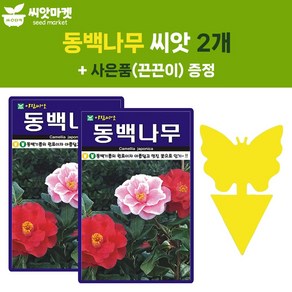 아람 동백나무 씨앗 50립 동백나무 씨 수목 종자 2개+끈끈이 1p, 1개