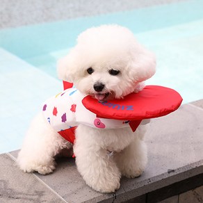 위니즈 젤리빈 펫 구명조끼 강아지 물놀이 턱받이, 젤리빈(레드), 1개