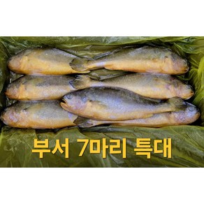 검증된 부세조기 7마리 3.4kg 1박스 (제수용 생선구이 ) 왕특대 30cm이상