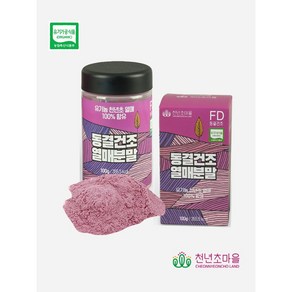 동결건조 유기농천년초열매분말 가루 100g(국가인증스파팜)