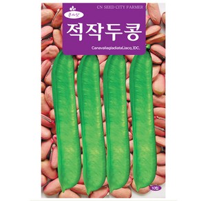 청농 적 작두콩 씨앗 10립 작두콩씨 덩굴성 종자, 1개