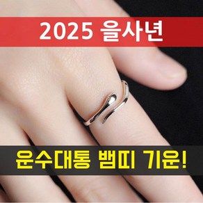 2025 을사년 뱀띠 은반지