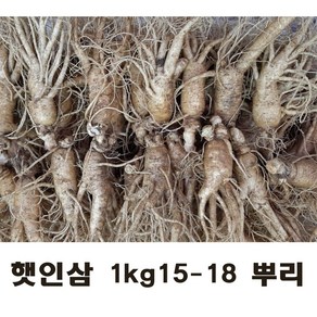 햇 인삼 가정용인삼 5년근 1kg 대사이즈 (15-18뿌리), 난발삼 세척원해요(O), 5개