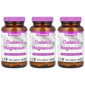 Bluebonnet 블루보넷 킬레이트 마그네슘 120캡슐 3팩 Chelated Magnesium, 120정, 3개