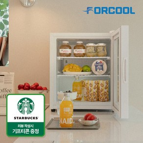 포쿨 음료수냉장고 쇼케이스 미니 가정용 업소용 음료 술장고 50L, 화이트 FC-50MSW