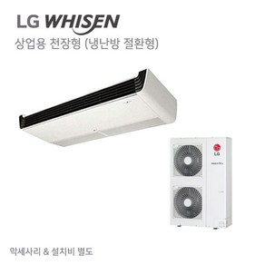 LG전자 VW1450M9S 상업용 천장형 냉난방절환 2대 (설치비 별도), 일반배관형