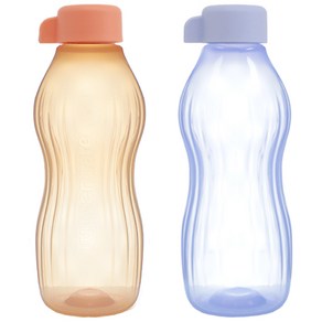 타파웨어 아이스 물병 500ml 2개입/타파웨어에코물병, 2개