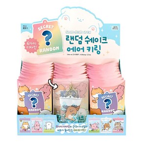 순덕이 랜덤 뽑기 쉐이크 에어 키링 23개(박스) 홀더 가방 열쇠 고리 친구 단체 선물, 1개