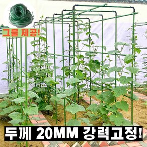 소프트가든 오이지지대 2m 20mm 식물 지지대 고추 텃밭 오이넝쿨 지지대 오벨리스크, 90x240x240cm