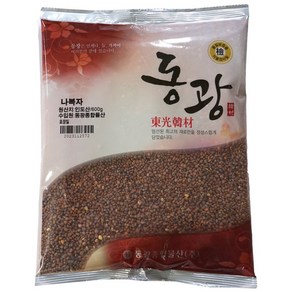 동광한방몰 나복자/내복자/인도산, 600g, 1개