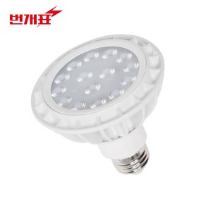 금호전기 번개표 LED PAR30 집중형 15w 주광색 전구색, 1개