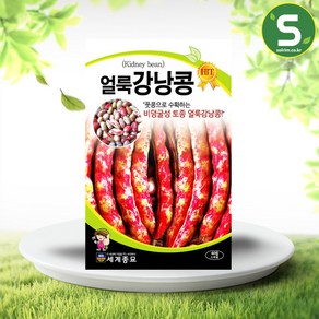 솔림텃밭몰 강낭콩씨앗 30g 얼룩이강낭콩 콩씨앗 콩종자 비덩굴성