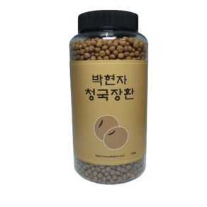 직접재배 박현자 청국장 환 500g, 1개