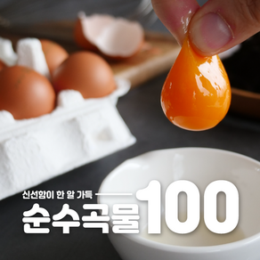 신선함 한 알 가득한 신농부 순수곡물100 40구, 10구, 4개