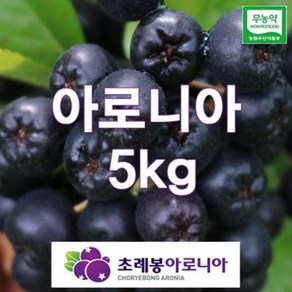 24년 유기농 자연초생재배 초례봉아로니아냉동생과열매 상급 5kg(꼭지있는것) / 농장 직배송