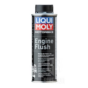 LIQUI MOLY 리퀴몰리 Engine Flush 엔진 플러시 바이크 세척제, 1개