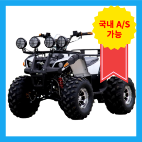 파워트랙 250cc 고출력 ATV 사발이 버기카 산악 오토바이 농장 과수원 시골 귀농, 10인치