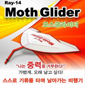 모스글라이더 RAY-14(10인용)