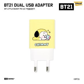 BT21 20W USB C타입 듀얼 멀티고속충전기 치미 CHIMMY, 단품, 1개