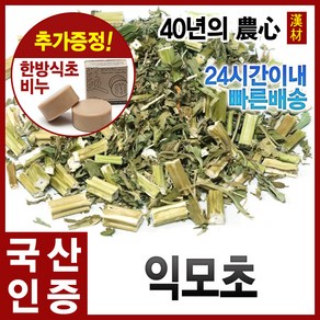 자애인 국산 익모초 300g 육모초 충북제천, 1개