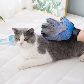 2+2 강아지 고양이 털갈이 브러쉬 장갑 강아지빗 고양이빗 개빗 애견빗 빗 애견 용품 털갈이빗, 1세트, R29095A(블루+그린